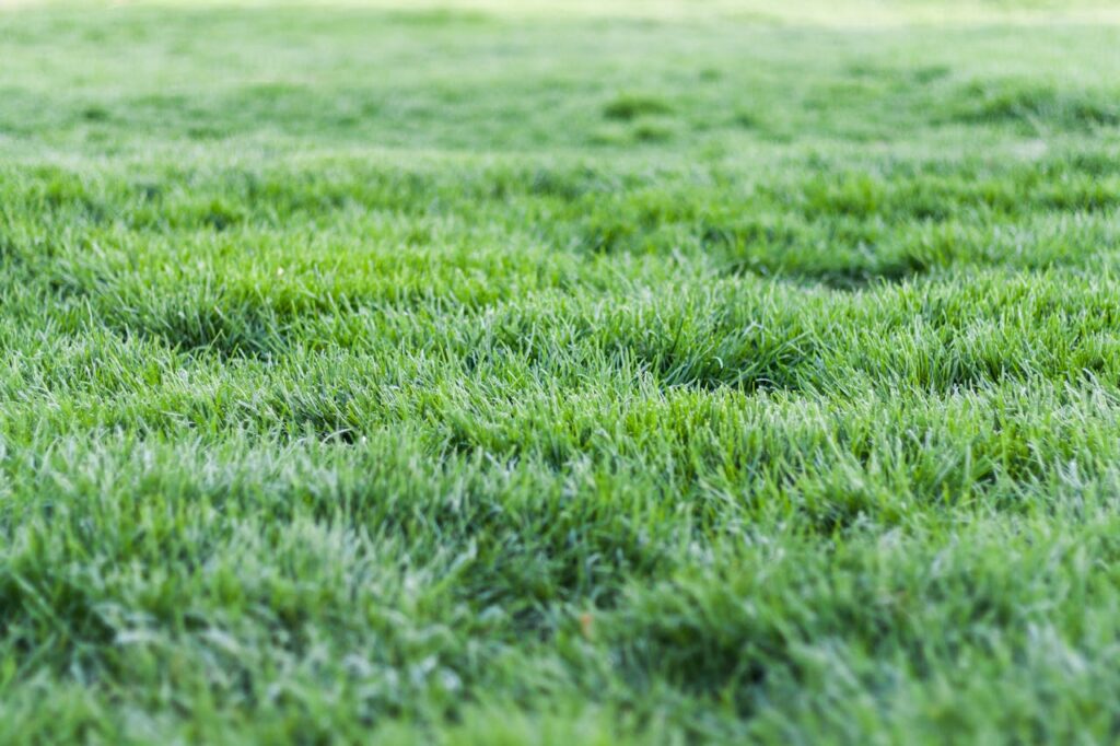 kunstgras leggen