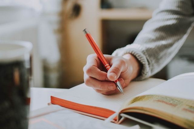 cursus zakelijk Nederlands